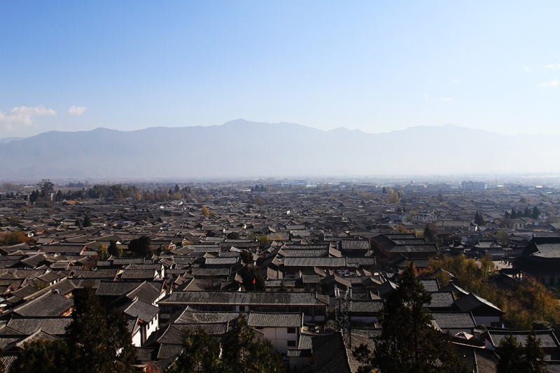 IMG_7347.JPG