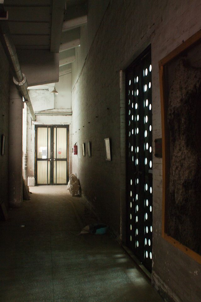 IMGP9319.jpg