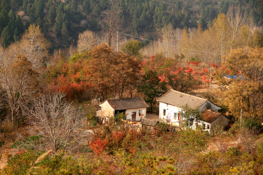 山里人家