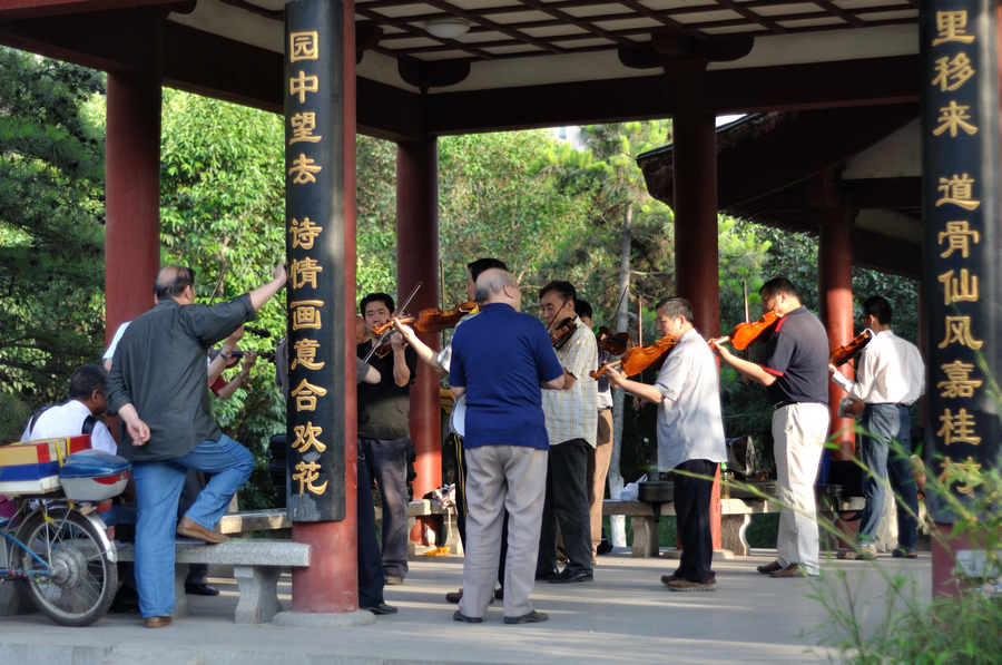 园中望去DSC_2180.jpg