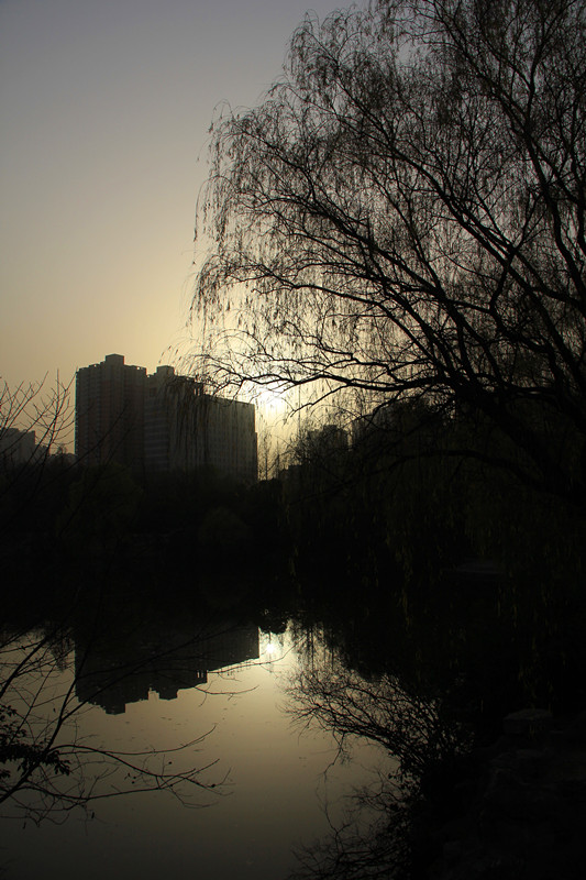 IMG_7688_副本.jpg