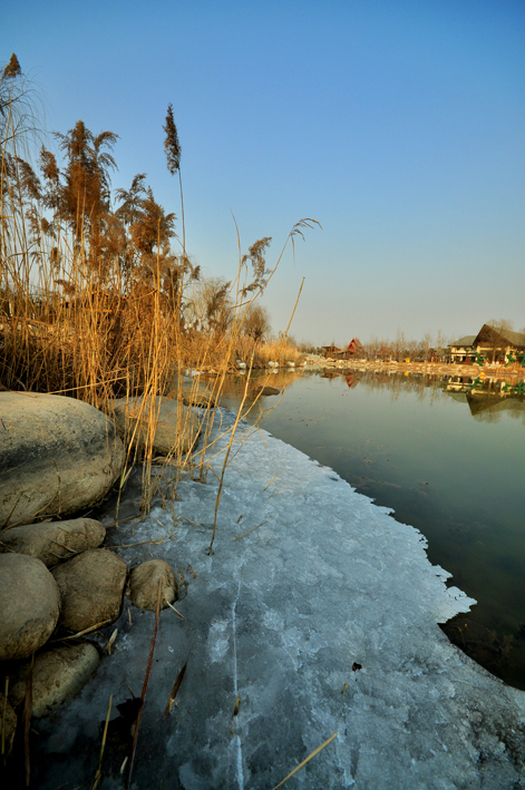 DSC_0316.JPG