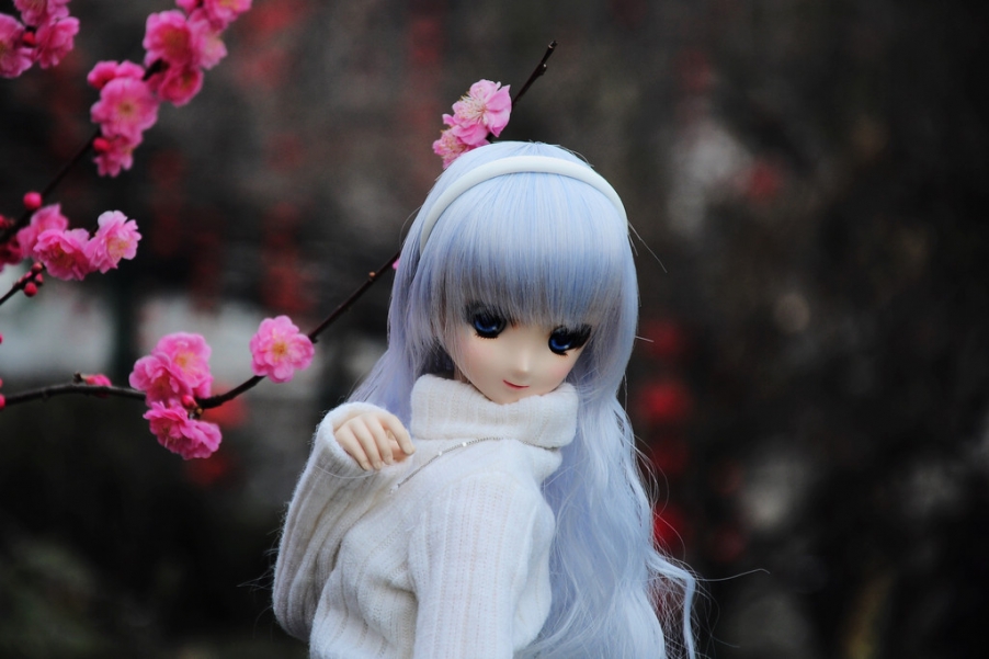 DSC_6598.JPG