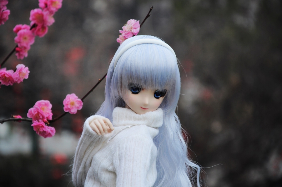 DSC_6599.JPG