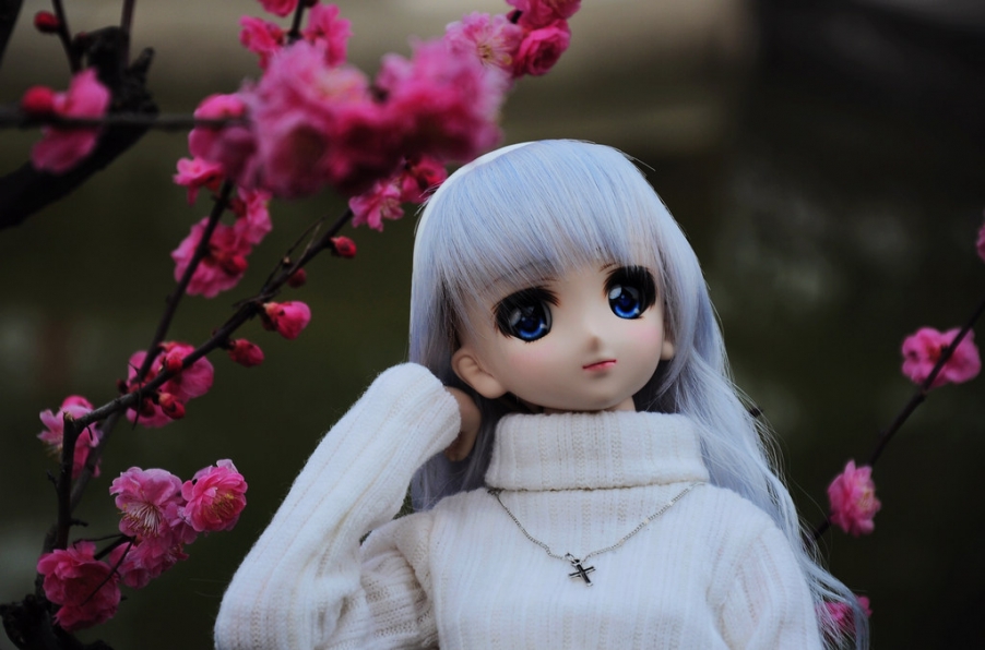 DSC_6681.JPG