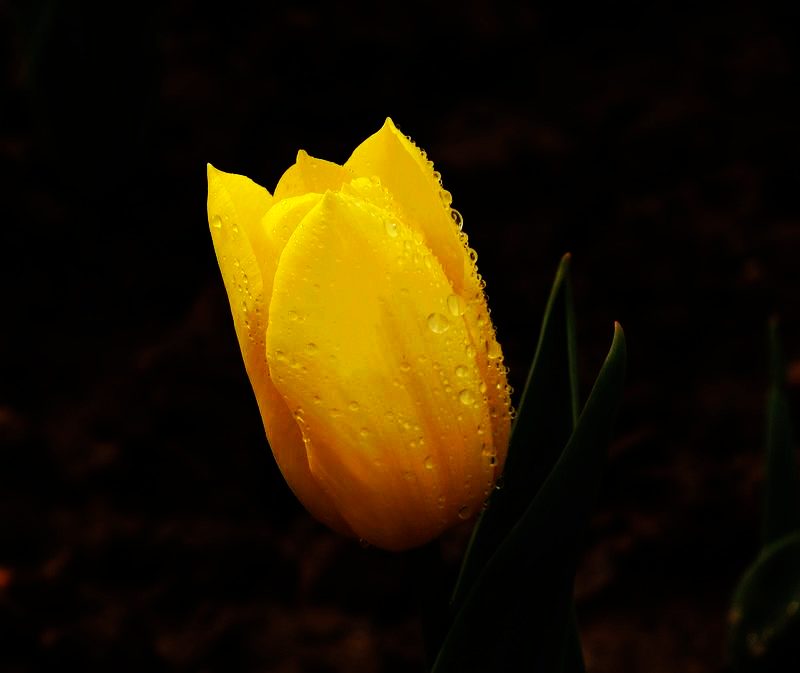 DSC09321.JPG