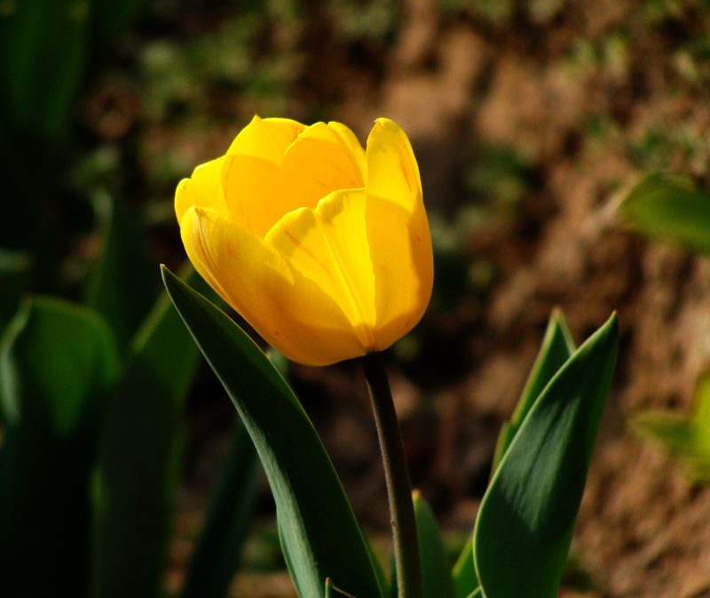 DSC09360.JPG