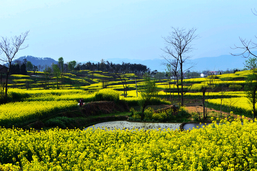 D600最近3月份拍摄 270.JPG