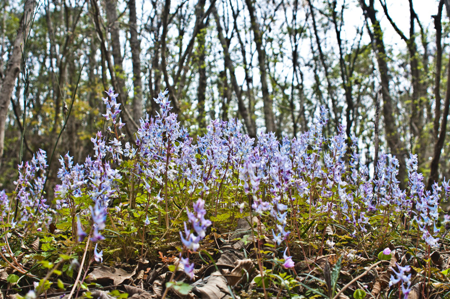 DSC_5453.JPG