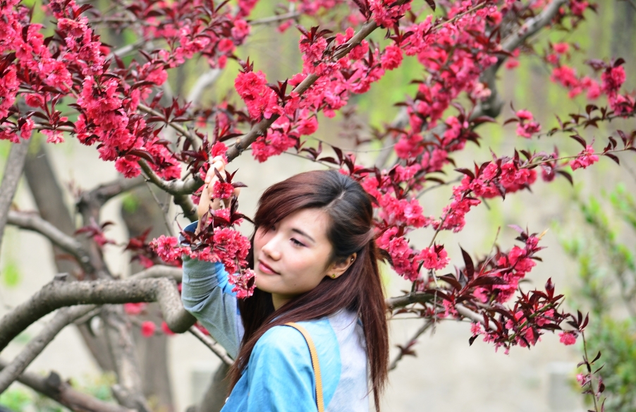 DSC_1369.JPG