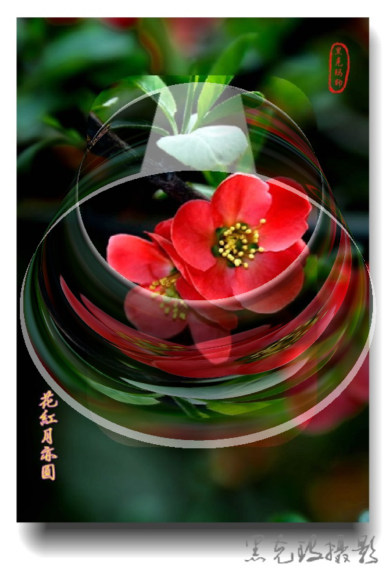 _MG_2618_3D.jpg