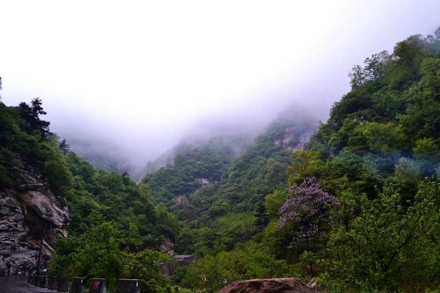 雨中秦岭