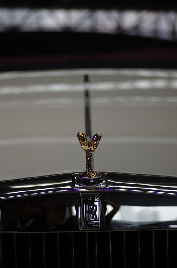IMGP8958_缩小大小.jpg
