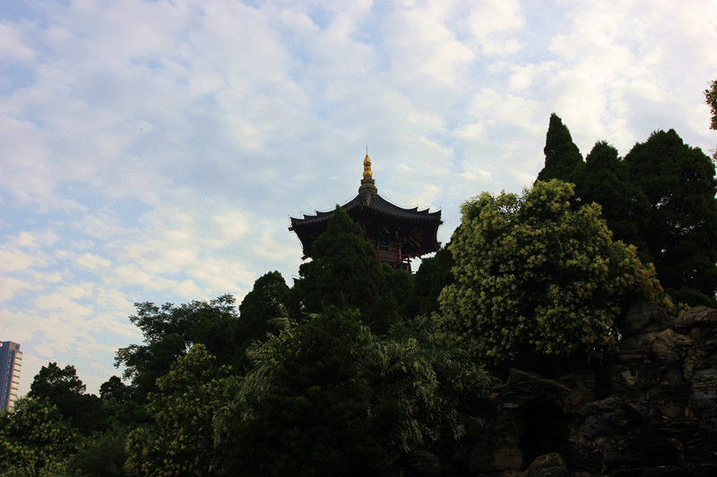 025_副本_副本.jpg