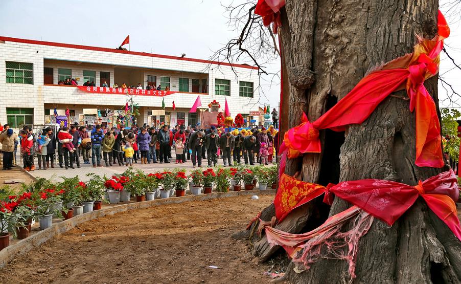 千年古槐树见证了家乡的变迁，成为祭奠先租的地方 (1).jpg