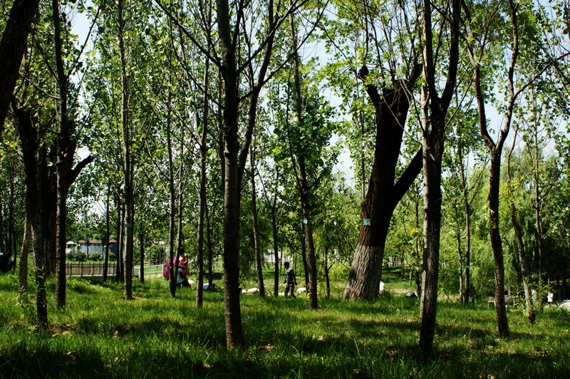 DSC04734.JPG