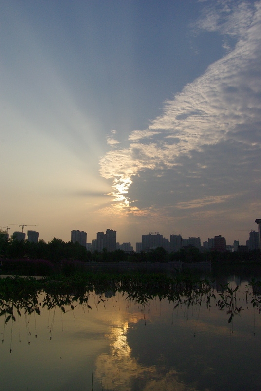 IMGP5985.jpg