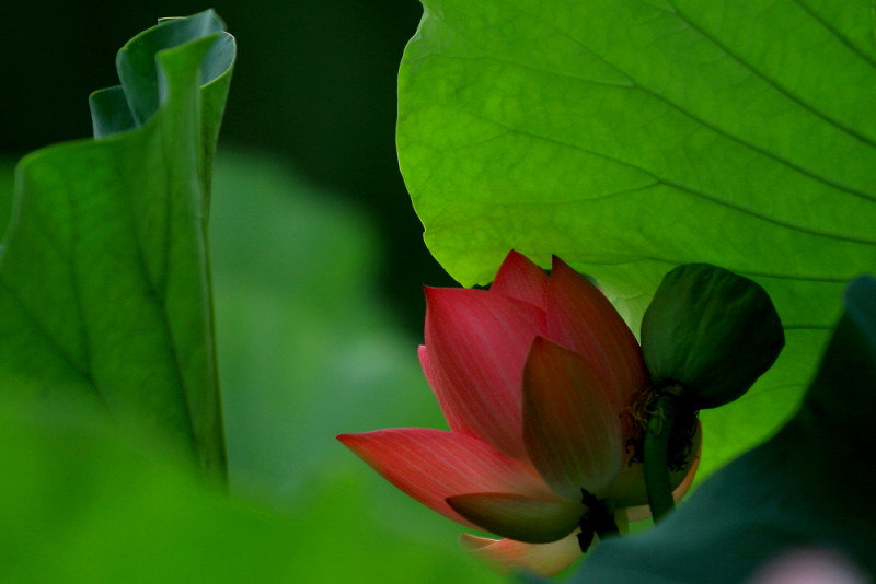 IMG_8553 拷贝.JPG