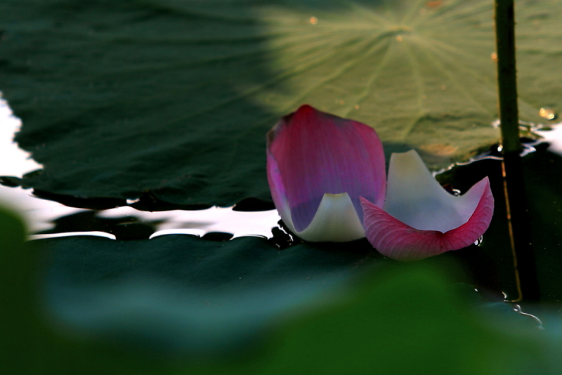 IMG_8575 拷贝.JPG