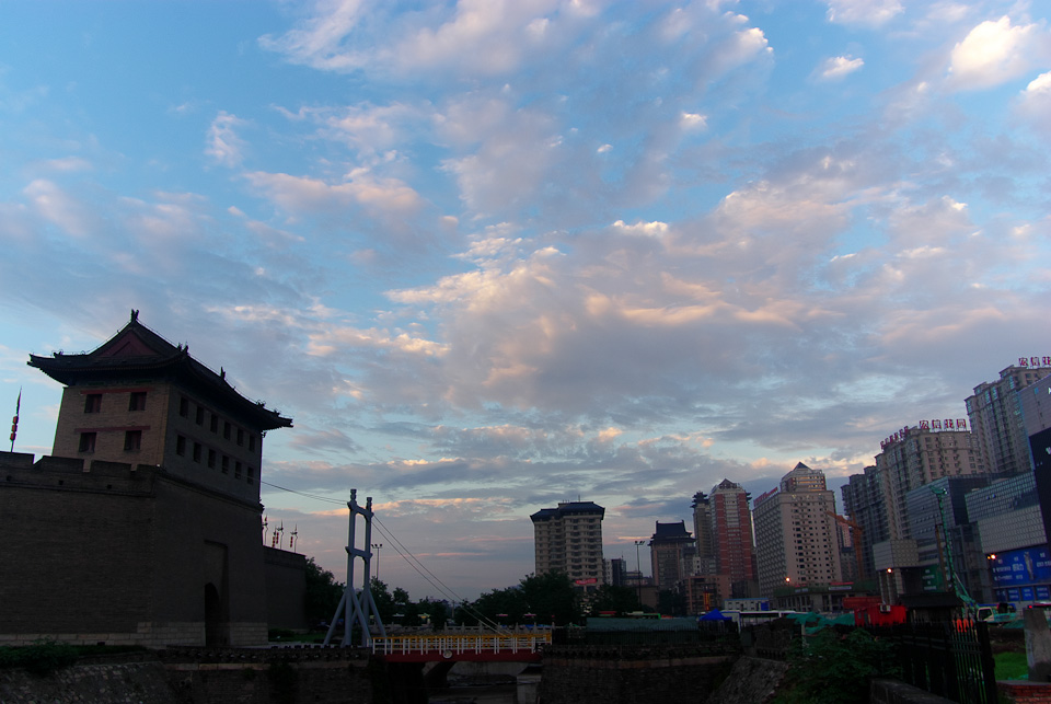 IMGP8681.jpg