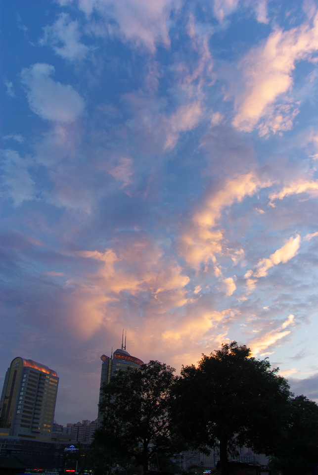 IMGP8694.jpg