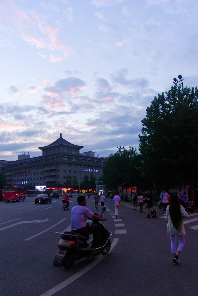 IMGP8701.jpg