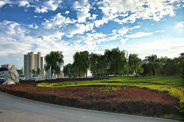 DSC_0988_HZP - 副本.jpg