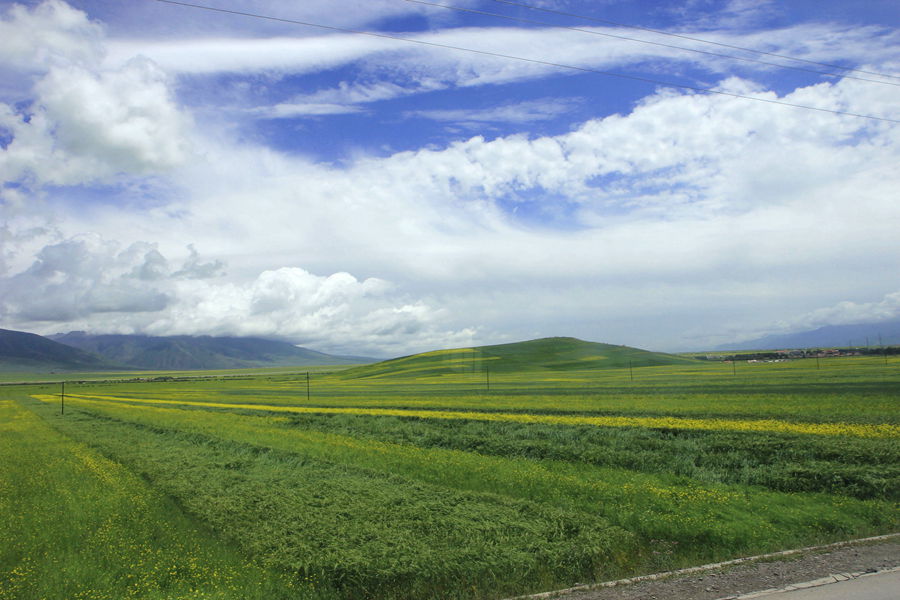 IMG_8460_副本.jpg