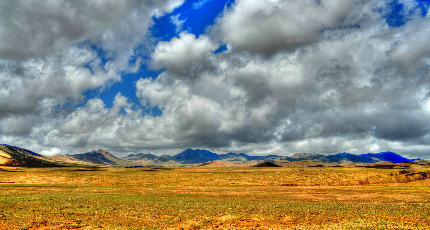 DSC_2894.JPG