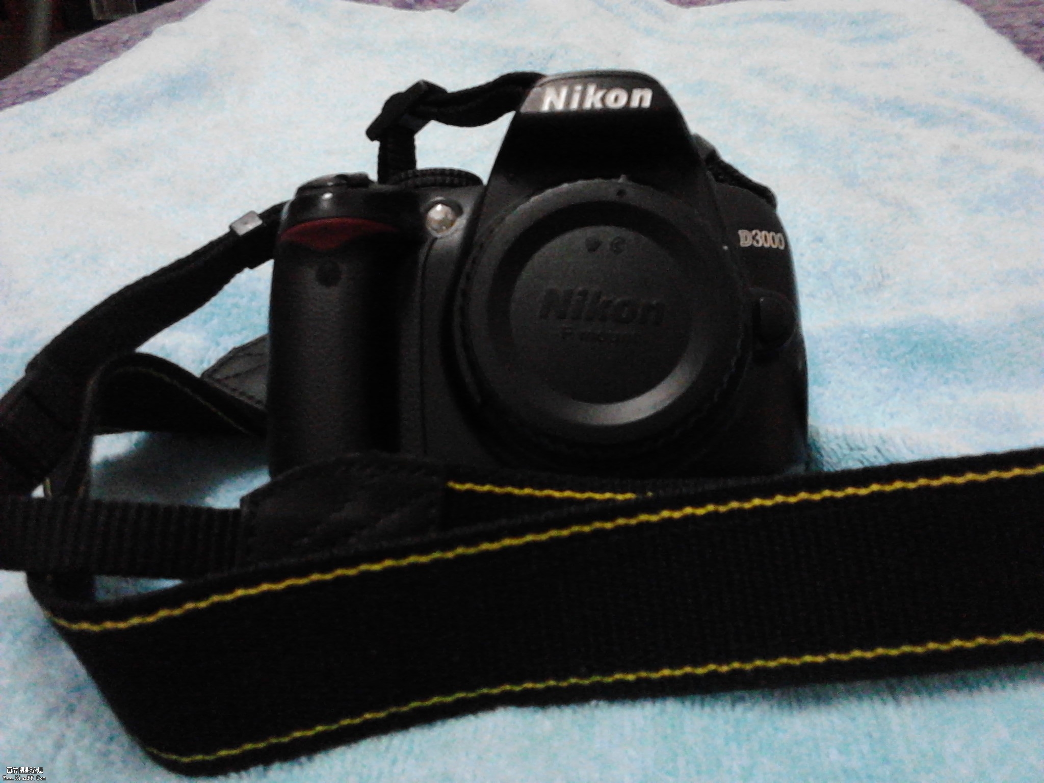 IMG_20130720_102236.jpg