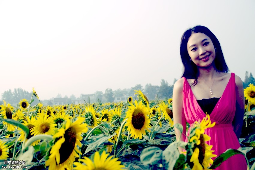 DSC_0923_conew1.jpg