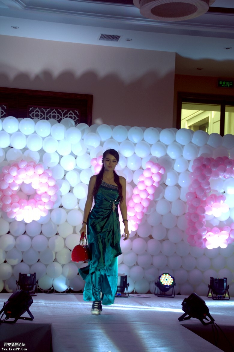 DSC_0287_conew1.jpg