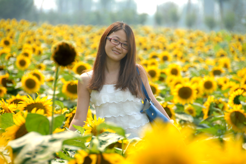 楼观 葵花 (28).jpg