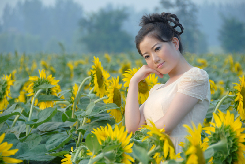 楼观 葵花 (32).jpg