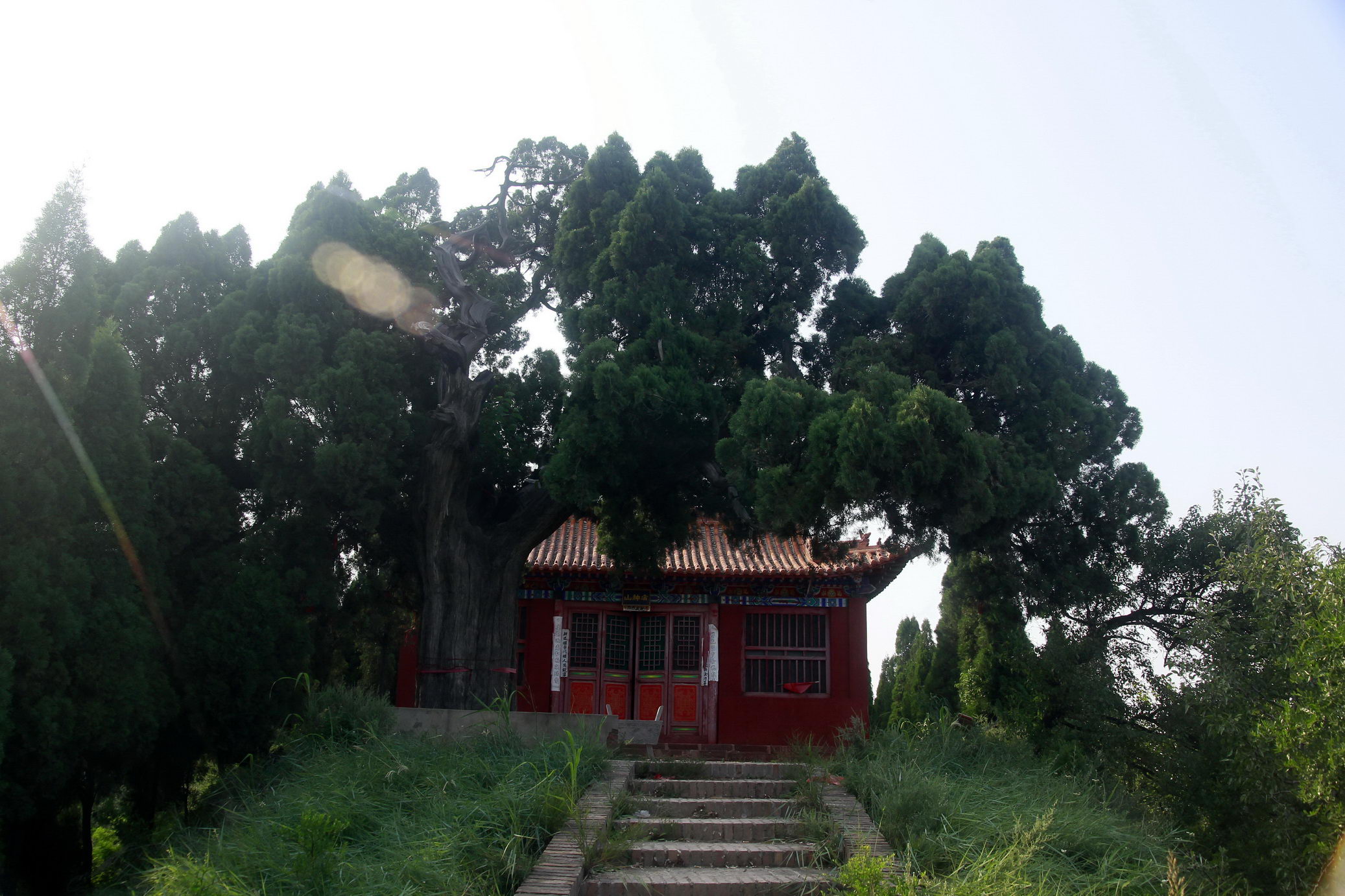 _MG_6477A_调整大小.jpg