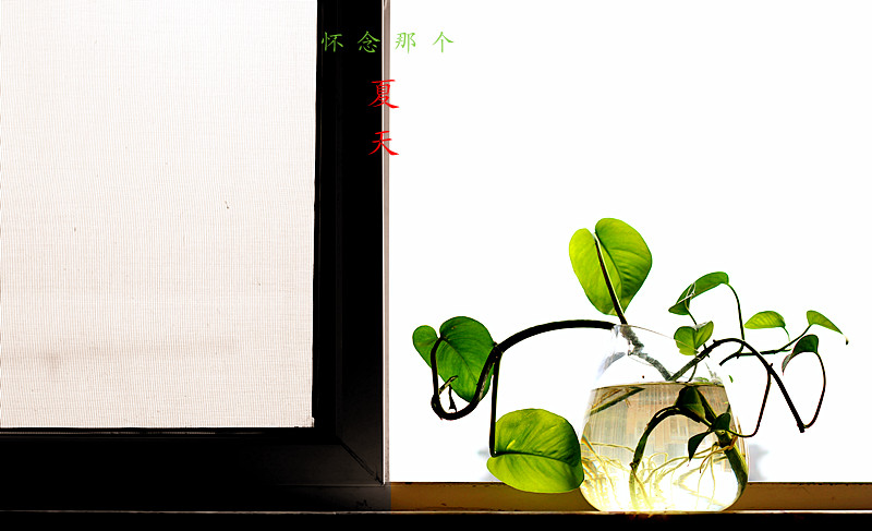 IMG_7870_副本.jpg