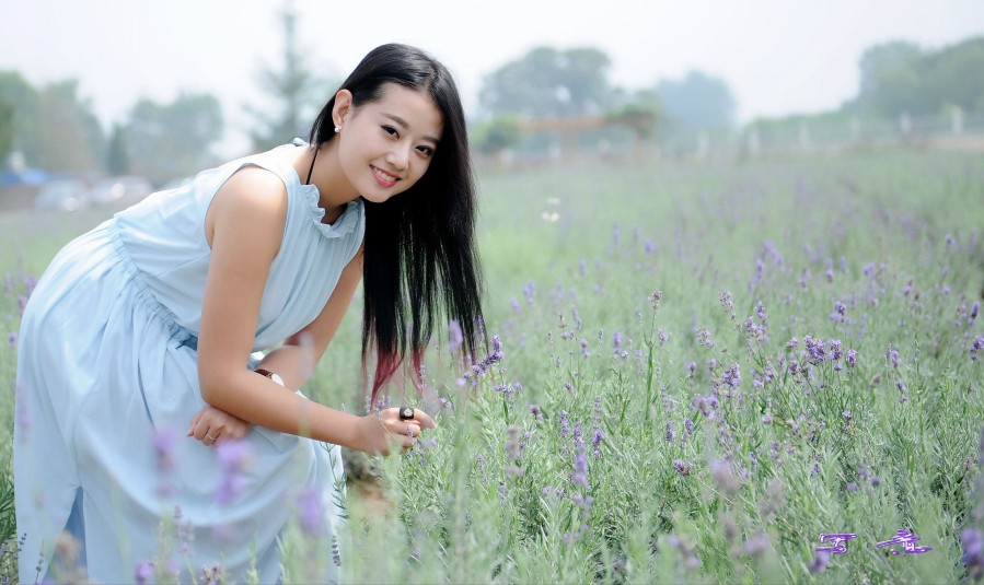 薰衣草 040_conew2.jpg