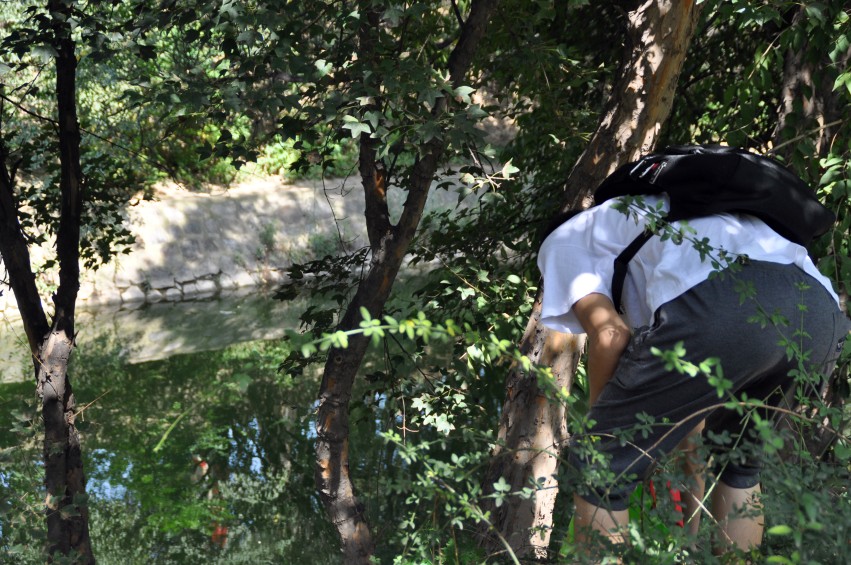 DSC_0335_conew1.jpg