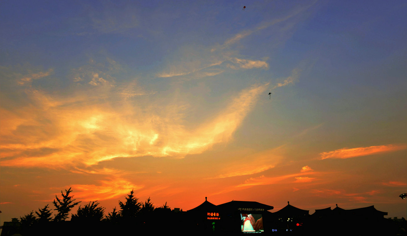 DSC_7324_副本1.jpg