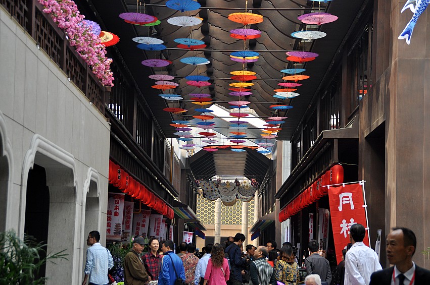 DSC_0233_conew1.jpg