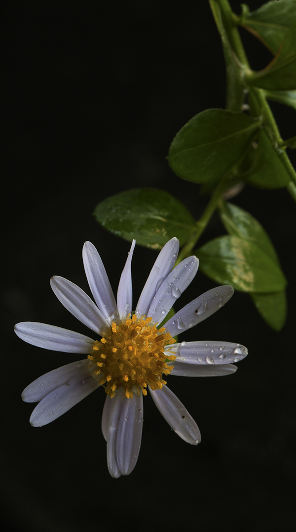 20131010_79891.jpg