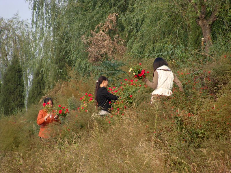 DSC02792.JPG