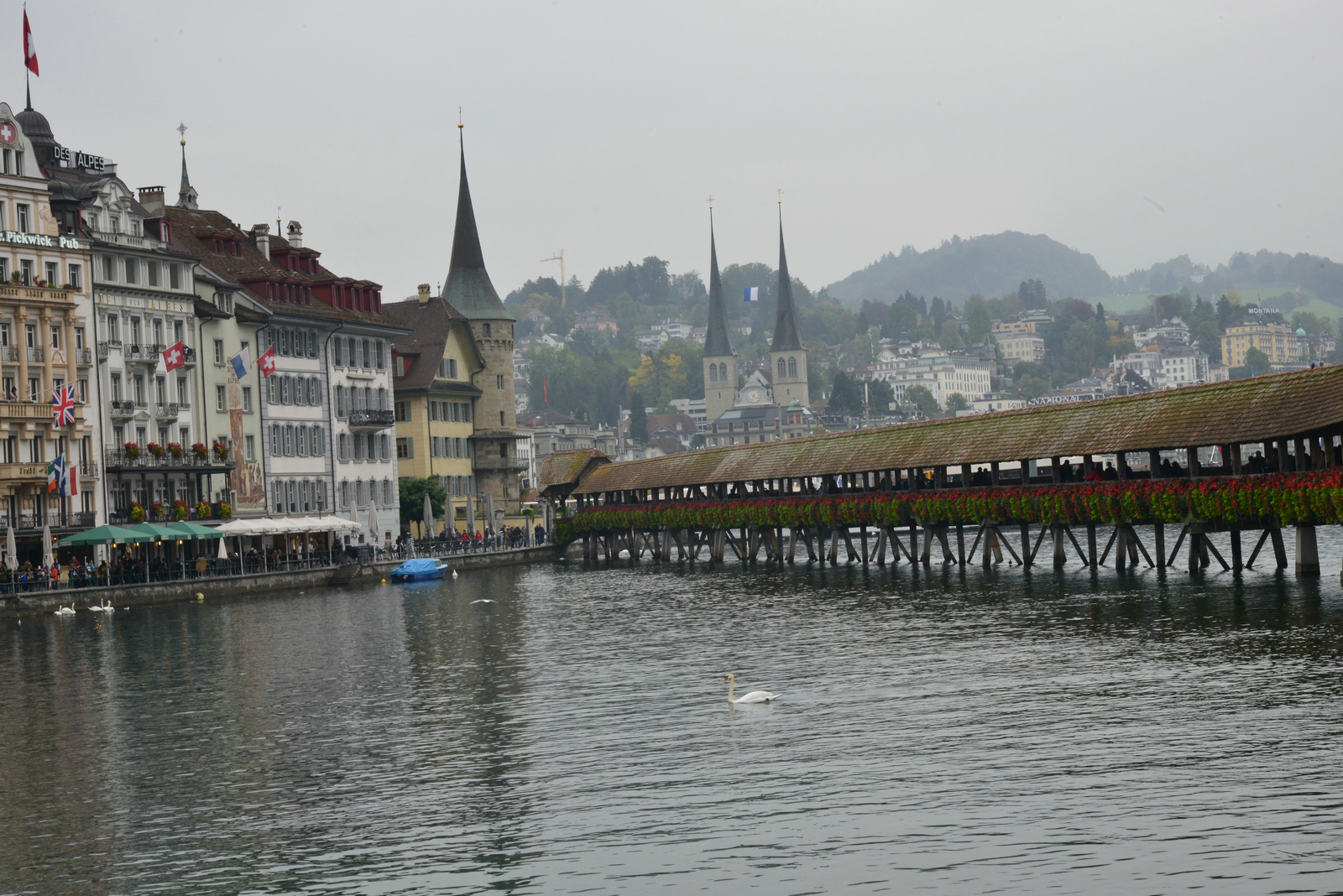 DSC_9883.JPG
