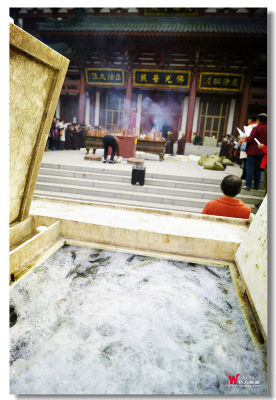 nEO_IMG__DSC1174.jpg