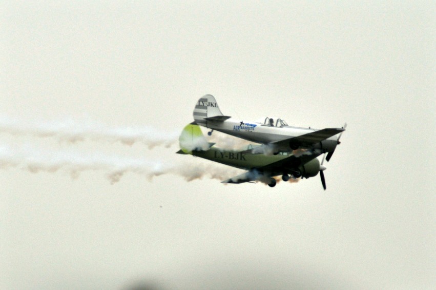 DSC_0097_conew1.jpg