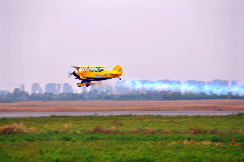 DSC_0321_conew1.jpg