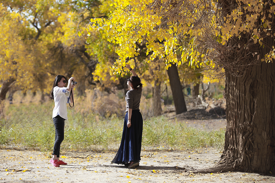 20131004_7488副本.jpg