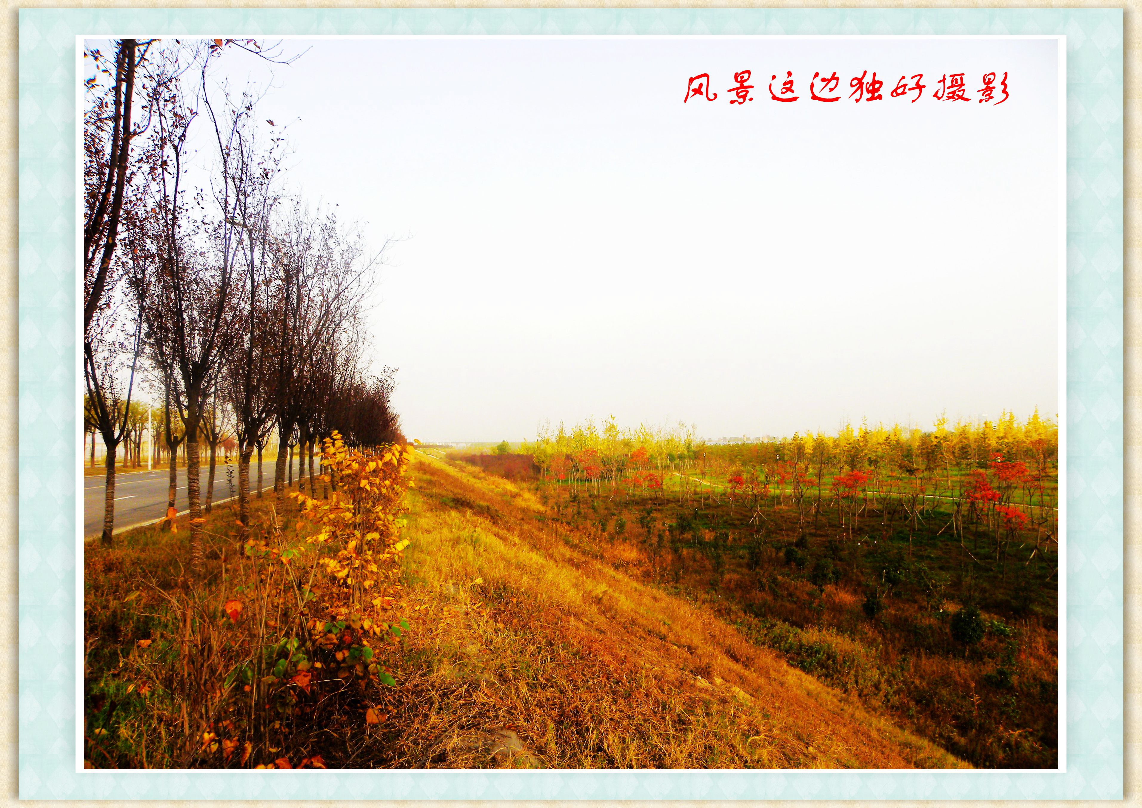DSCN0001.JPG