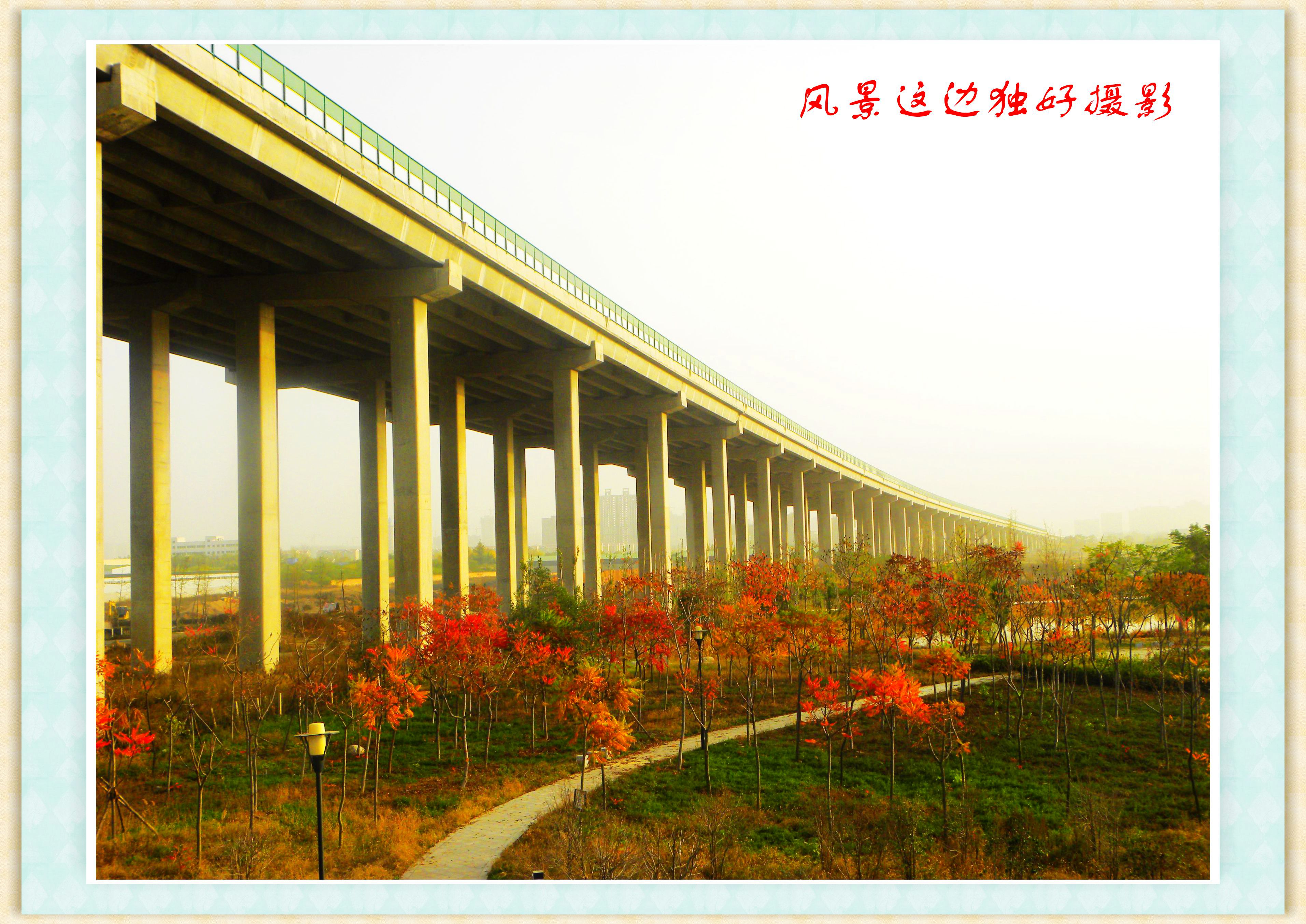 DSCN0011.JPG