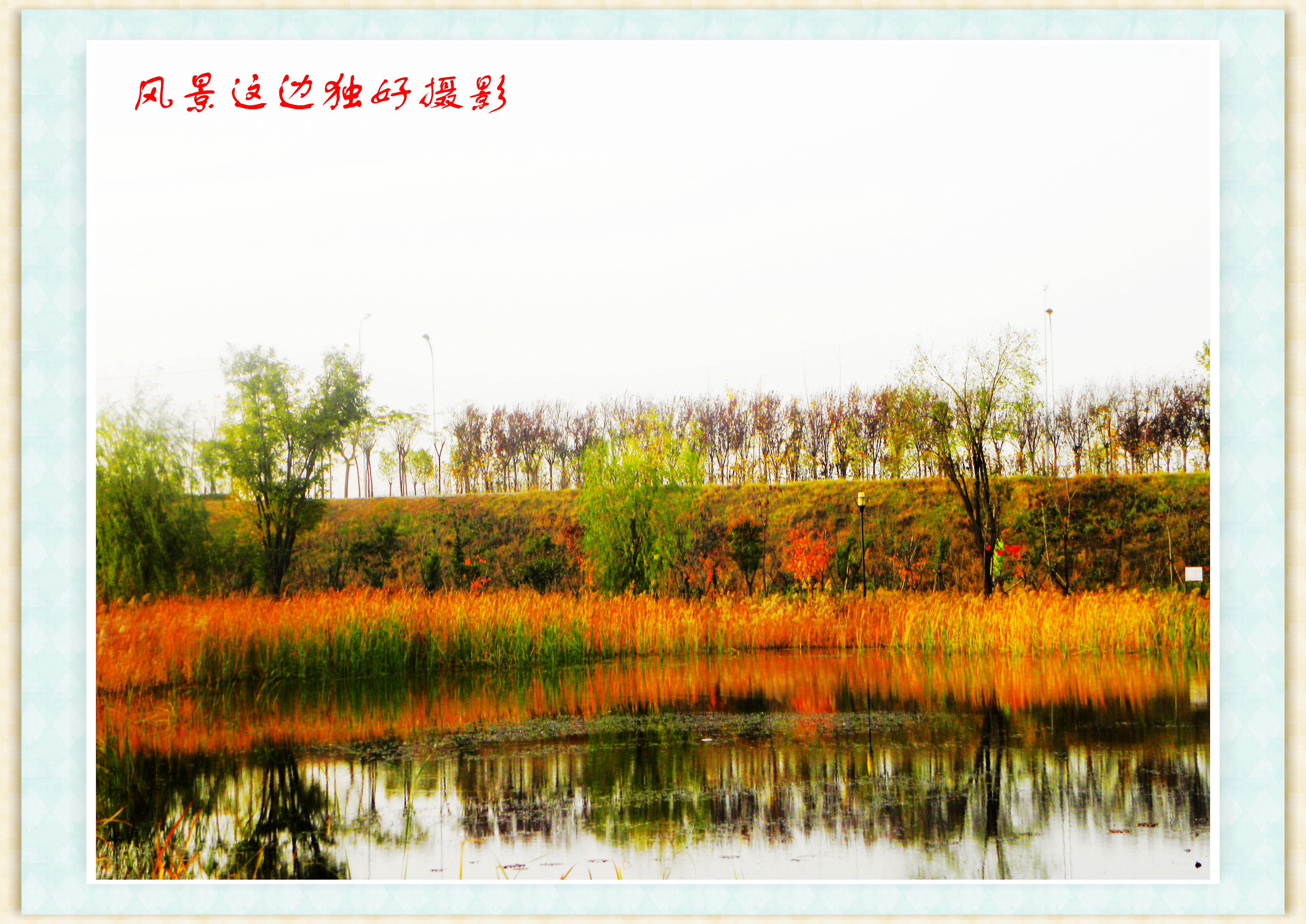 DSCN0049.JPG